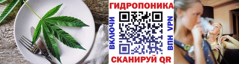 Canna-Cookies конопля  где купить   Кубинка 