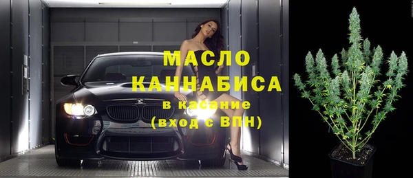 молекула духа Осташков
