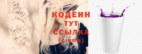 молекула духа Осташков