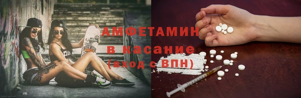 молекула духа Осташков