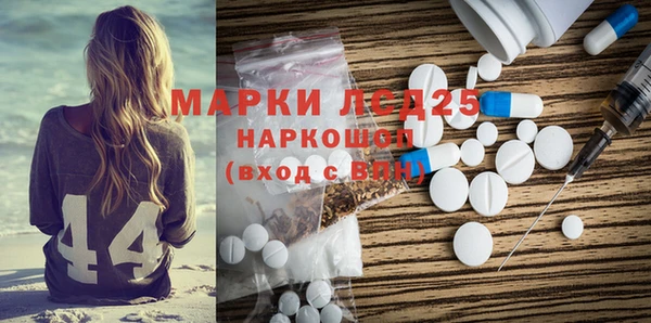 молекула духа Осташков