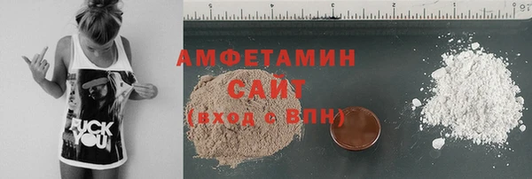 молекула духа Осташков