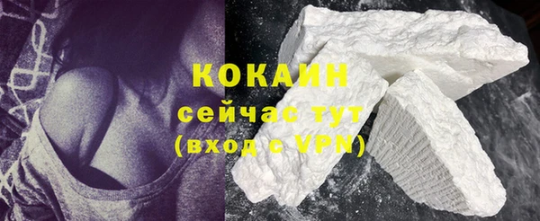 молекула духа Осташков