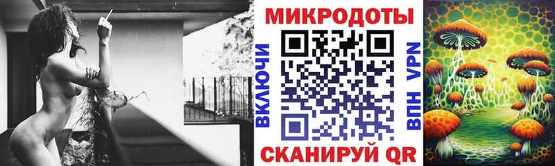 Галлюциногенные грибы Psilocybe  Кубинка 