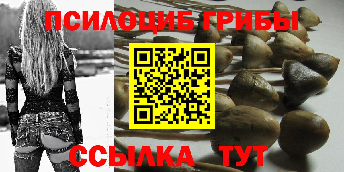 Галлюциногенные грибы Psilocybine cubensis  Галлюциногенные грибы мухоморы  Кубинка 