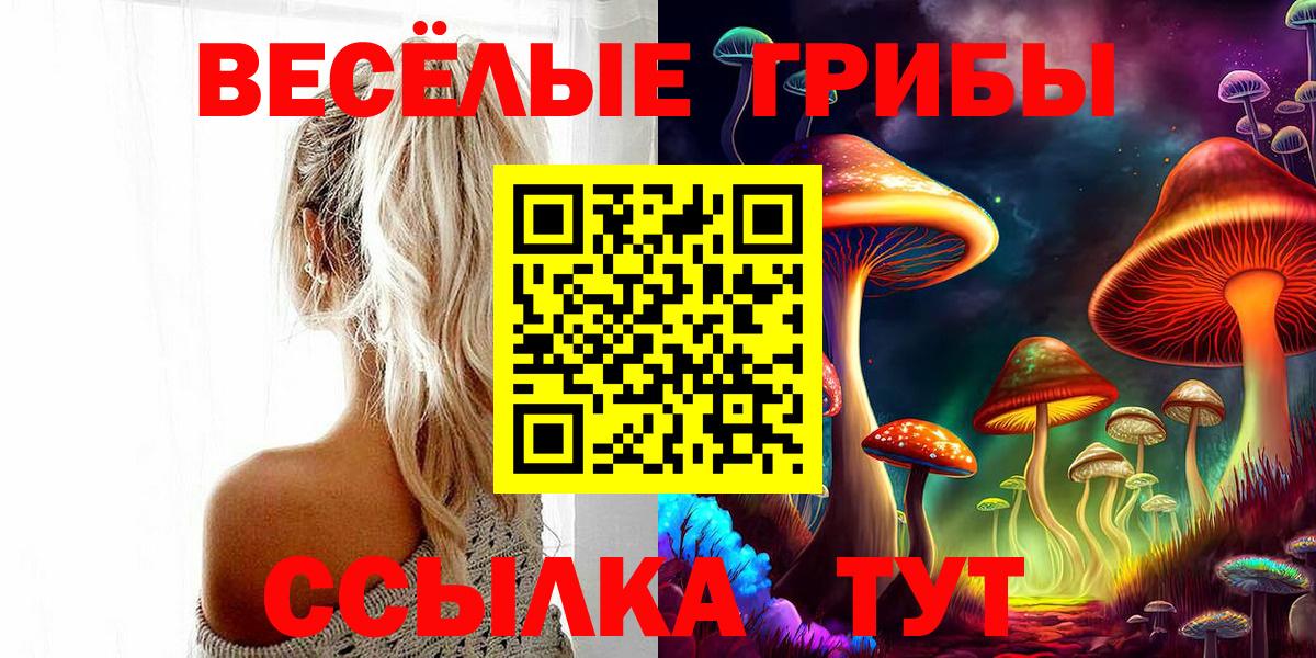 Галлюциногенные грибы MAGIC MUSHROOMS Кубинка