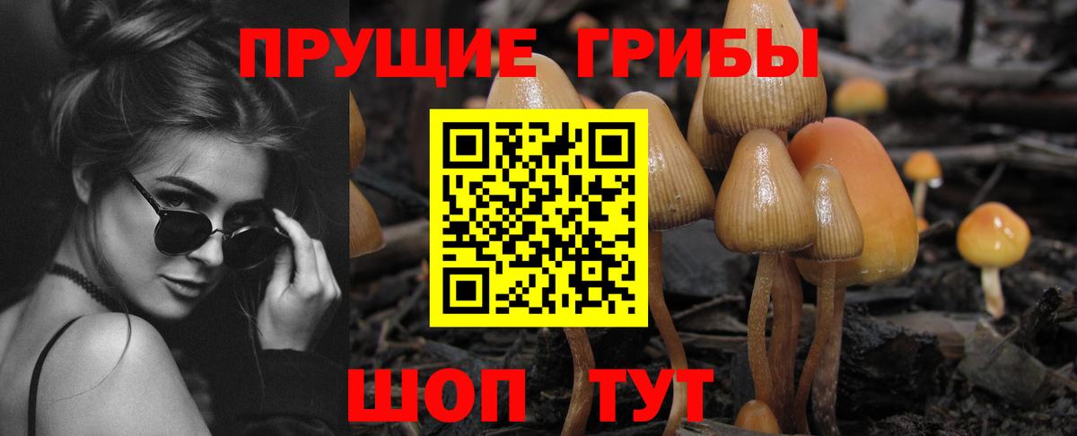 Псилоцибиновые грибы Psilocybine cubensis  Вход с VPN  Псилоцибиновые грибы Psilocybe  Кубинка 